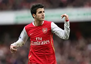 Cesc Fabregas Leads Arsenal to 3:0 FA Cup Victory over Newcastle United, Emirates Stadium, 2008