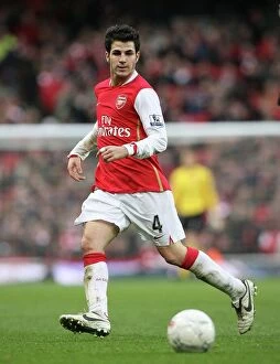 Arsenal v Newcastle United FC Cup 2007-8 Collection: Cesc Fabregas Leads Arsenal to 3:0 Victory over Newcastle United in FA Cup Fourth Round
