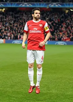 Cesc Fabregas Leads Arsenal to Glory: 2-1 Victory over Barcelona in the Champions League at Emirates Stadium
