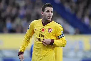 Cesc Fabregas: Masterminding Arsenal's Victory over Everton (2010-11)