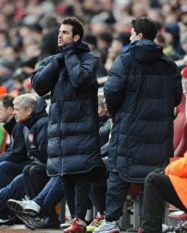 Images Dated 30th January 2011: Cesc Fabregas and Samir Nasri (Arsenal). Arsenal 2: 1 Huddersfield Town