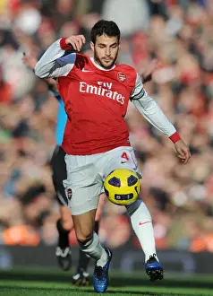 Arsenal V Newcastle United 2010-11 Prints: Cesc Fabregas Scores Against Arsenal: Newcastle United's 1-0 Win in the Barclays Premier League