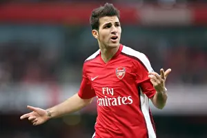 Cesc Fabregas Scores Twice Against Arsenal: Aston Villa's 2-0 Victory in the Barclays Premier League, Emirates Stadium, 15/11/08