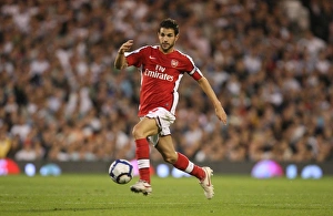 Cesc Fabregas Scores the Winner: Arsenal 1-0 Fulham, Barclays Premier League, 2009