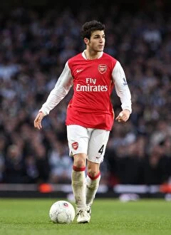 Arsenal v Newcastle United FC Cup 2007-8 Collection: Cesc Fabregas Triumph: Arsenal 3-0 Newcastle United in FA Cup 4th Round, Emirates Stadium (2008)