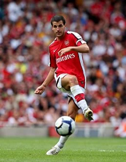 Images Dated 2nd August 2009: Cesc Fabregas Triumph: Arsenal 3-0 Rangers, Emirates Cup, 2009
