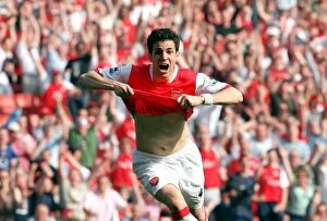 Images Dated 14th April 2007: Cesc Fabregas's Brilliant Goal: Arsenal Leads 2-1 vs. Bolton Wanderers, FA Premiership