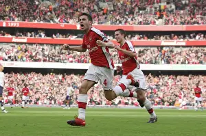 Cesc Fabregas's Brilliant Goal: Arsenal's 3-0 Victory Over Tottenham Hotspur, 2009