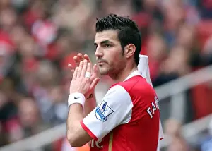 Cesc Fabregas's Brilliant Performance: Arsenal's 2-0 Victory Over Reading, April 19, 2008 (Barclays Premier League)