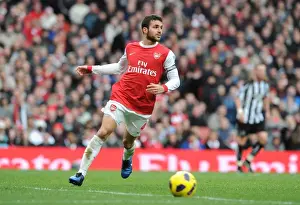 Arsenal V Newcastle United 2010-11 Prints: Cesc Fabregas's Goal Gives Newcastle United 1-0 Victory over Arsenal