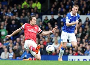 Everton v Arsenal 2013/14 Collection: Clash at Goodison Park: Rosicky vs McCarthy in Premier League Battle