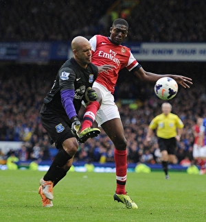 Everton Prints: Clash at Goodison Park: Yaya Sanogo vs. Tim Howard