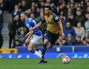 Everton V Arsenal 2015-16 Prints: Coquelin Surges Past Cleverley: Everton vs Arsenal