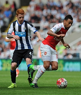 Coquelin vs Colback: A Premier League Battle at St. James Park, 2015-16