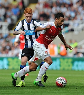 Newcastle United V Arsenal 2015-16 Prints: Coquelin vs. Colback: A Premier League Showdown at St. James Park