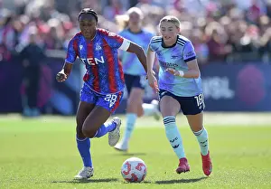Crystal Palace v Arsenal FC - Barclays Women's Super League Crystal Palace v Arsenal FC - Barclays Women's Super League