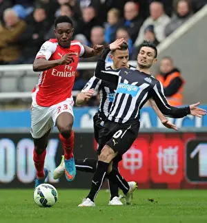 Newcastle United V Arseal 2014/15 Prints: Danny Welbeck Breaks Past Newcastle's Cabella: Arsenal vs Newcastle