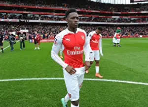 Arsenal V Hull City - FA Cup 2015-16 Prints: Danny Welbeck Gears Up: Arsenal's FA Cup Showdown Against Hull City