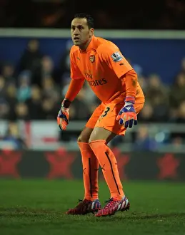 Queens Park Rangers V Arsenal 2014-15 Prints: David Ospina Focused: Queens Park Rangers vs Arsenal, Premier League 2015