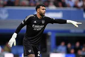 David Raya Stands Firm: Everton vs Arsenal, Premier League 2023-24
