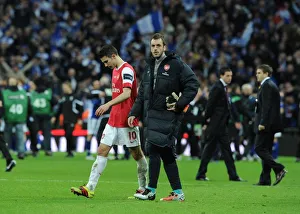 Dejected Arsenal players Manuel Almunia and Robin van Persie. Arsenal 1: 2 Birmingham City
