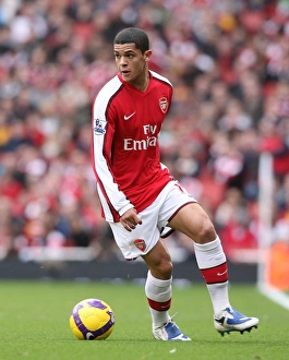 Arsenal v Fulham 2008-9 Gallery: Denilson (Arsenal)