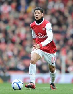 Images Dated 30th January 2011: Denilson (Arsenal). Arsenal 2: 1 Huddersfield Town, FA Cup Fourth Round