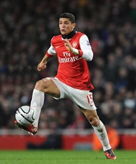 Images Dated 25th January 2011: Denilson (Arsenal). Arsenal 3: 0 Ipswich Town. Carling Cup, semi final 2nd leg