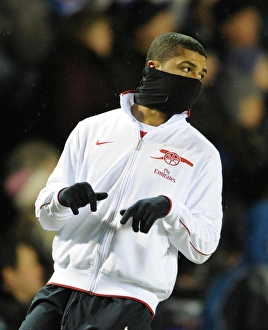 Images Dated 1st January 2011: Denilson (Arsenal). Birmingham City 0: 3 Arsenal. Barclays Premier League