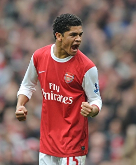 Images Dated 20th November 2010: Denilson (Arsenal) celebrates after Arsenals 1st goal. Arsenal 2: 3 Tottenham Hotspur
