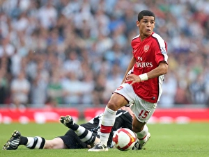 Denilson Gallery: Denilson (Arsenal) Danny Guthrie (Newcastle)