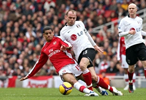 Arsenal v Fulham 2008-9 Gallery: Denilson (Arsenal) Danny Murphy (Fulham)