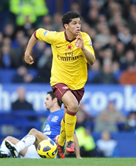 Denilson (Arsenal). Everton 1: 2 Arsenal, Barclays Premier League, Goodison Park