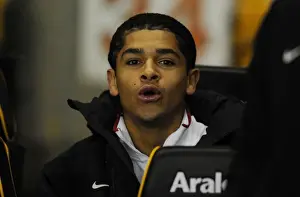 Wolverhampton Wanderers V Arsenal 2010-11 Prints: Denilson (Arsenal). Wolverhampton Wanderers 0: 2 Arsenal, Barclays Premier League