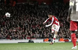 Arsenal v Standard Liege 2009-10 Collection: Denilson scores Arsenals 2nd goal