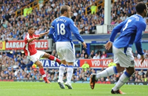 Denilson Gallery: Denilson shoots past Everton goalkeeper Tim Howard