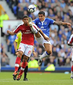 Everton V Arsenal 2009-10 Prints: Denilson and Tim Cahill Clash in One-Sided Arsenal Victory at Goodison Park