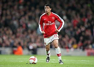 Denilson's Epic Duel: Arsenal vs. Tottenham Hotspur's Thrilling 4-4 Barclays Premier League Clash at Emirates Stadium (October 2008)