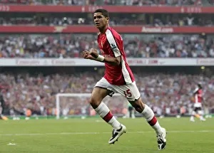 Denilson's Triumph: Arsenal's 3-0 Victory Over Newcastle United in the Barclays Premier League