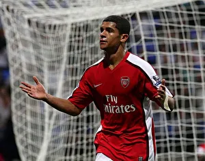 Denilson's Triumph: Arsenal's Third Goal vs. Bolton Wanderers in the Barclays Premier League (2008-09)
