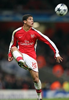Arsenal V Dynamo Kyiv 2008-9 Prints: Denilson's Victory: Arsenal 1-0 Dynamo Kiev