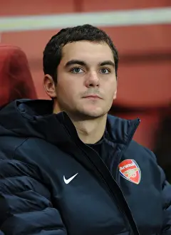 Arsenal V Schalke 04 2012-13 Prints: Disappointing Night: Arsenal's 0-2 Defeat to Schalke 04 in the UEFA Champions League (24/10/12)