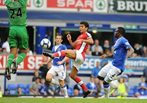 Everton v Arsenal 2009-10 Collection: Eduardo (Arsenal) Joseph Yobo and Tim Howard (Everton)