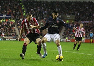 Images Dated 21st November 2009: Eduardo (Arsenal) Phil Bardsley (Sunderland). Sunderland 1: 0 Arsenal, Barclays Premier League
