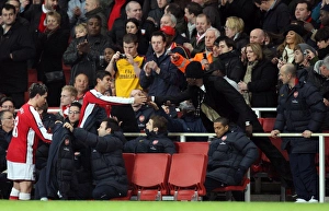 Images Dated 16th February 2009: Eduardo (Arsenal) shakes hands with Emmanuel Adebayor