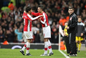 Images Dated 16th February 2009: Eduardo makes way for Arsenal substitute Robin van Persie