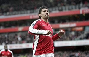 Arsenal v Burnley FA Cup 2008-9 Collection: Eduardo's Brace: Arsenal's Triumphant 3-0 FA Cup Victory over Burnley