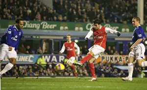 Everton V Arsenal 2007-08 Prints: Eduardo's Debut Goal: Arsenal Crushes Everton 4-1 (Barclays Premier League, 2007)