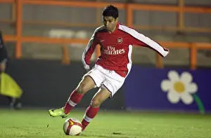 Eduardo's Double: Arsenal Reserves 2-0 Portsmouth Reserves, Barclays Premier Reserve League, Underhill, Barnet, 16/12/08