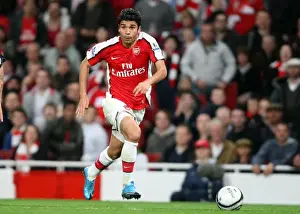 Eduardo's Strike: Arsenal's Thrilling 2-1 Victory Over Liverpool in the Carling Cup